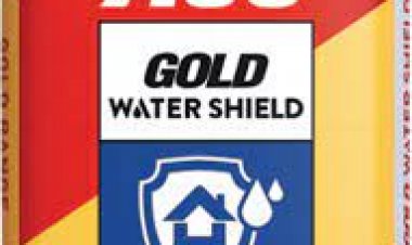 एसीसी गोल्ड वाटर शील्ड सीमेंट को सोलर इंपल्स फाउंडेशन के एफिशिएंट सॉल्यूशन लेबल से सम्मानित किया गया