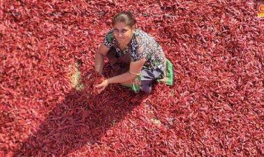 पीएनबी हाउसिंग ने वंचित महिलाओं के लिए राजस्थान में मसाला इकाई स्थापित की