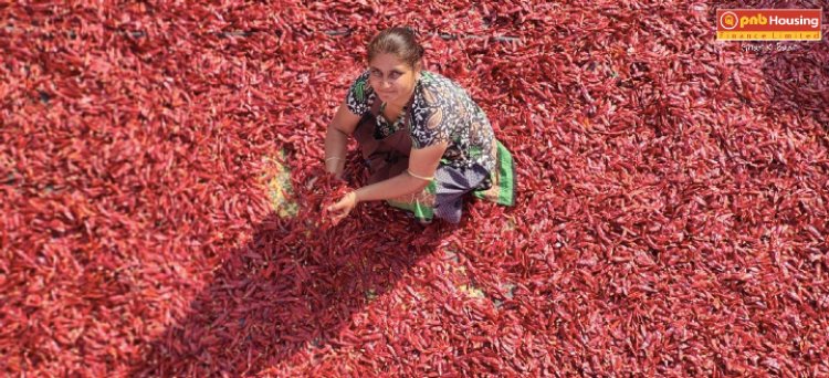पीएनबी हाउसिंग ने वंचित महिलाओं के लिए राजस्थान में मसाला इकाई स्थापित की