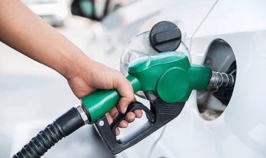 Petrol Diesel Price : तेल कंपनियों ने जारी किए पेट्रोल-डीजल के दाम, जानिए कितनी रहीं आज की कीमतें