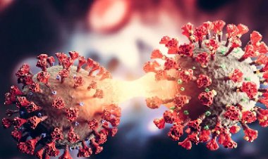 ओमिक्रॉन और डेल्टा से मिलकर बना नया वायरस पहुंचा भारत, इन राज्यों में मिले मरीज; जानें कितना है खतरनाक