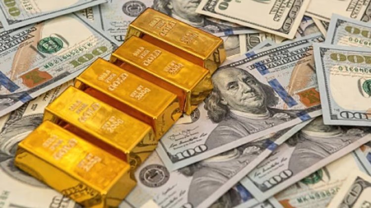 Forex Reserve: विदेशी मुद्रा भंडार में इस सप्ताह आई 9.6 अरब डॉलर की कमी, दो वर्ष में सबसे बड़ी साप्ताहिक गिरावट