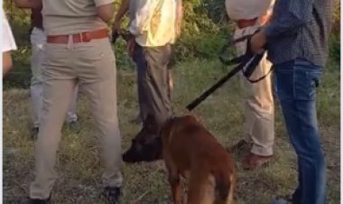 2 दिन से लापता युवक की मिली लाश: नाले में शव मिलने से फैली सनसनी, FSL व डॉग स्क्वायड ने उठाए साक्ष्य, पुलिस जांच में जुटी