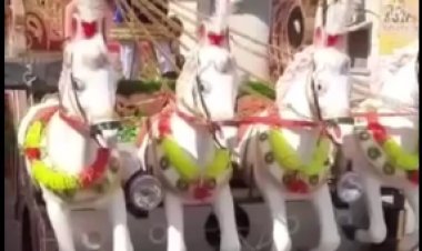 चेटीचंड पर शोभायात्रा में उमडे़ लोग आयोलाल-झूलेलाल की सुनाई दी गूंज, ट्रकों में सजी झांकियों ने छोड़ी छाप, जगह जगह हुआ स्वागत