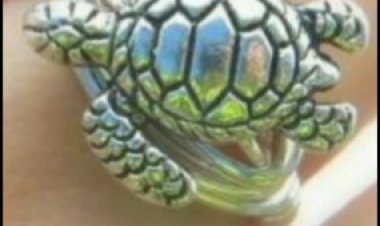 चमत्कारी कछुआ देने के नाम पर ठगी: रुपए दोगुने करने का दिया झांसा; फसल बेचकर व उधार लाकर किसान ने दिए 1.80 लाख रुपए