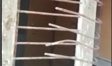 लाइसेंसी बन्दूक सहित नकदी व जेवरात चोरी: जंगला तोड़कर अन्दर घुसे चोर; मकान मालिक सोते रहे और वारदात अंजाम, सुबह उठे तो पता चला