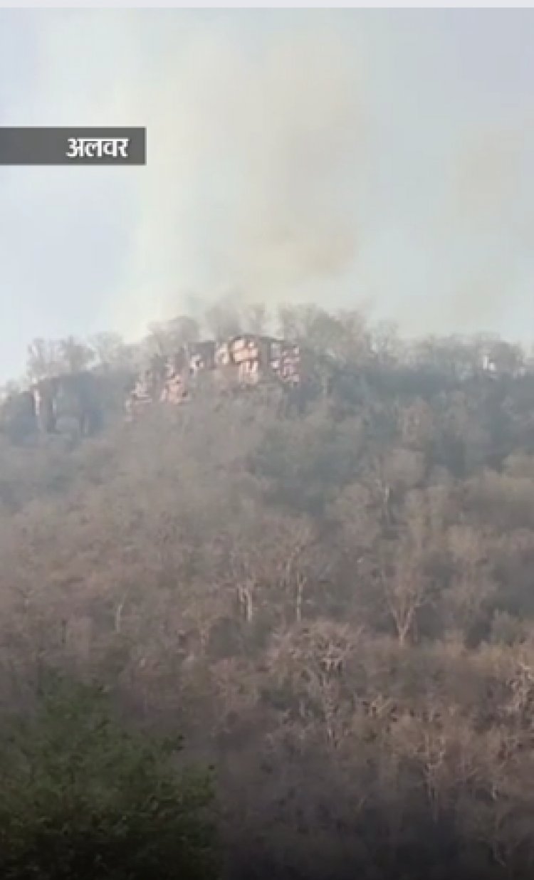 सरिस्का के जंगल में फिर भड़की आग: पहले जहां आग फैली, वहां से 3KM दूर दोबारा उठीं लपटें, जयपुर-दौसा से बुलाई टीमें