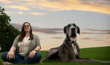 अरे यह घोड़ा नहीं! ये तो है दुनिया का सबसे लंबा कुत्ता