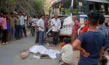 टक्कर के बाद 10 फीट रिवर्स में गई बस: ट्रेलर से आमने-सामने की हुई भिड़ंत, पेड़ से जाकर टकराई; बस चालक की मौत