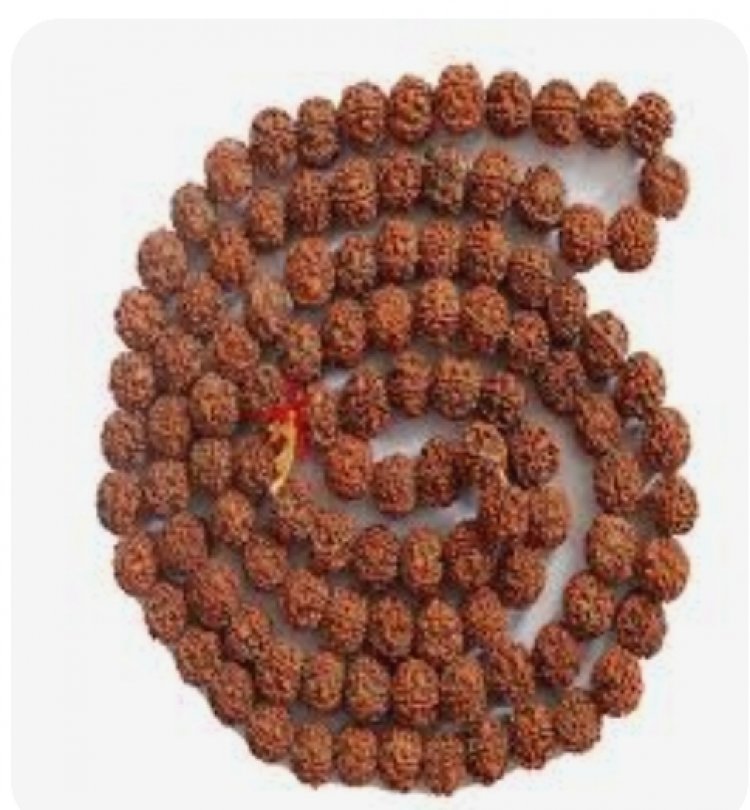रुद्राक्ष पहनने के हैं अनगिनत फायदे